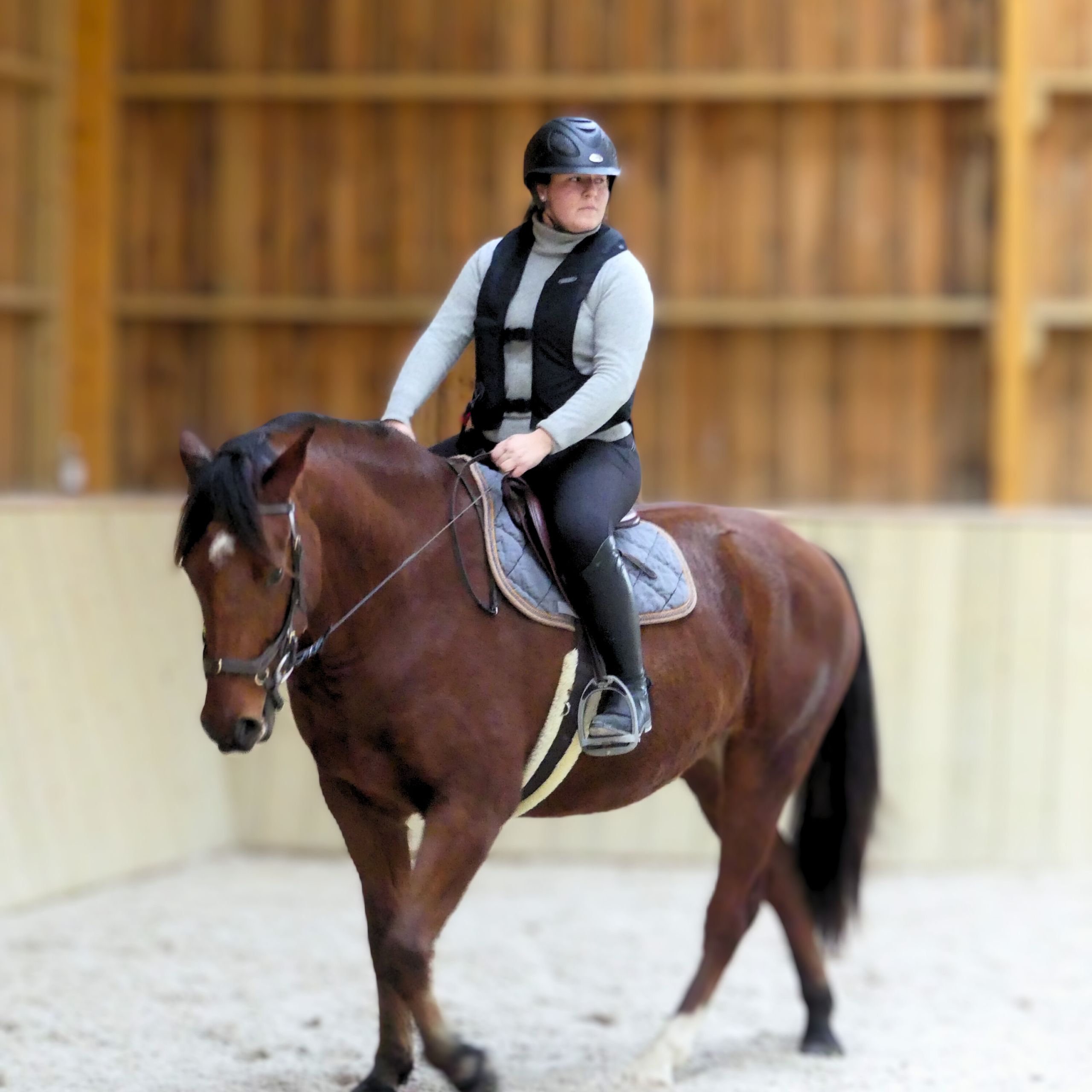 exigez le meilleur pour votre sécurité à cheval avec le gilet airbag hit air modèle complet 3 ! pour le loisir comme la compétition, vivez votre passion en toute sécurité. disponible dès maintenant sur la boutique askara.fr