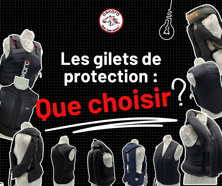 Quel gilet de protection choisir en équitation ?